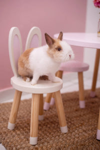 Bunny Chair